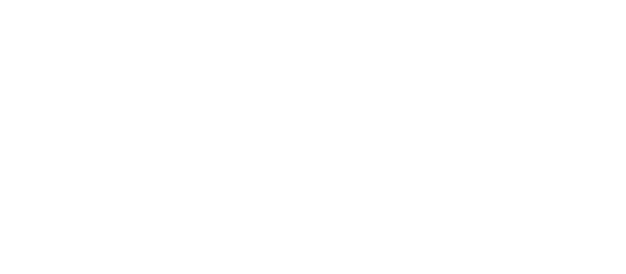 vibae-logo-transp-white